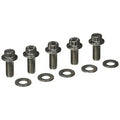 ARP 5/16in x 18 - .725in UHL 12pt SS Bolt Kit (5/pkg)
