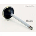 Exhaust Valve