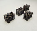 SPRING, EXHAUST VALVE