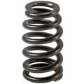 Valve Spring