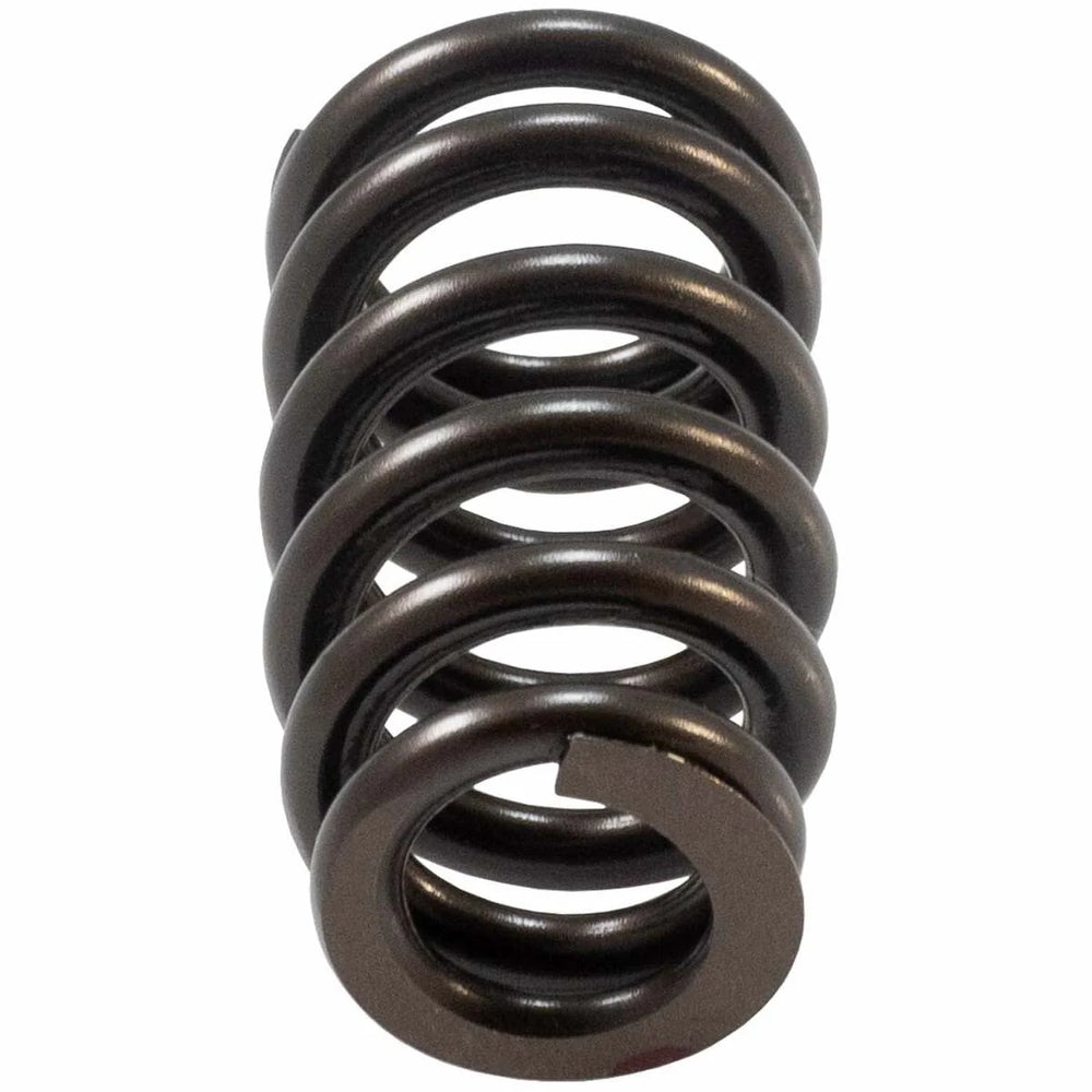 Valve Spring
