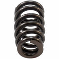 Valve Spring