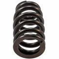 Valve Spring