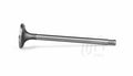 Intake Valve Audi 6.0L Ford 2.8L SeatVW- 2.3L 2.8L 3.2L 6.0L
