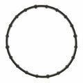 Engine Oil Filter Adapter Gasket - 71-15021-00
