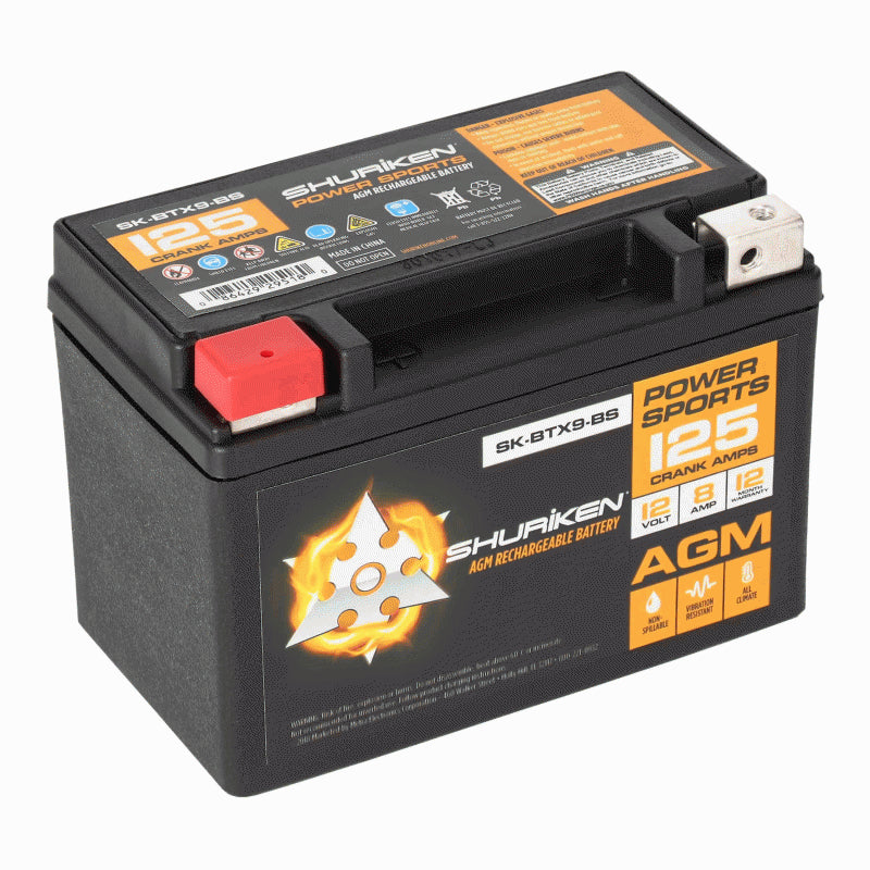 PW BATTERY 30L-420CCA DUMMY - EACH