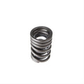 Valve Spring