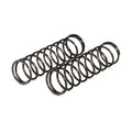 Valve Check Springs