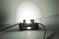 Diode Dynamics 31mm HP6 LED Bulb LED Warm - White (Single)