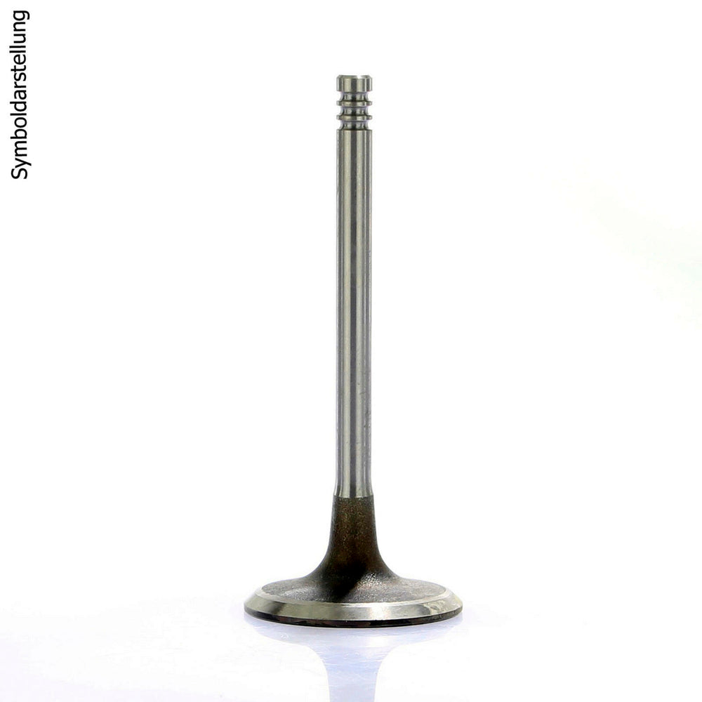 INTAKE VALVE