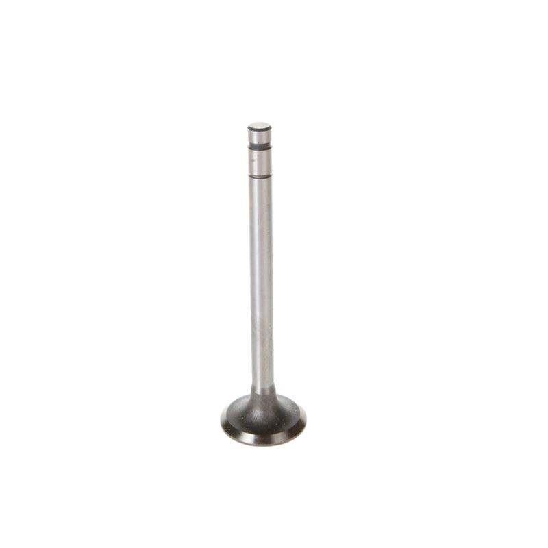 Mahle exhaust