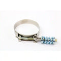 SPRING-LOADED T-BOLT CLAM