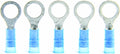 RINGTERM 5/16IN1614 GA.INSULNY BLUE 5 PK UL