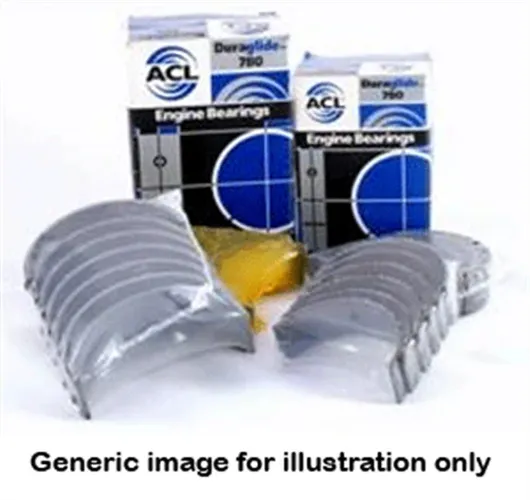 ACL Bearings Nissan CD20 CD20-T 0.5