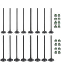 Intake Valve