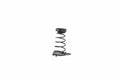 Mopar springs