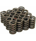 1.255 Valve Spring (1) Single w/o Damper
