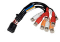 LOOM, B PORT-RCA, ZONE 1+2