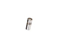 LIFTRRS ENG VALVE BULK 12