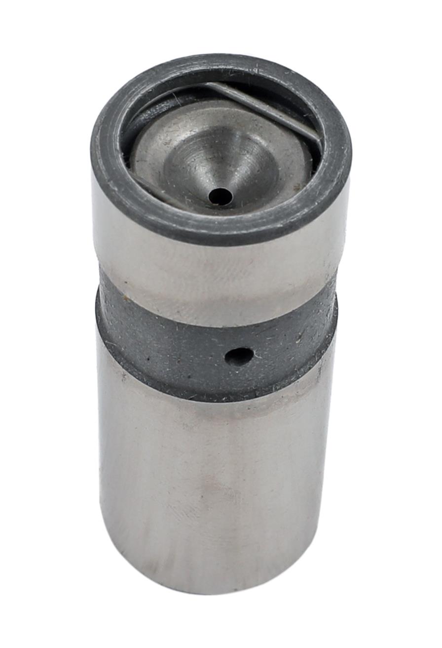 LIFTRRS ENG VALVE BULK 12