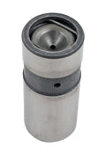 LIFTRRS ENG VALVE BULK 12