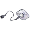 LICENSE LAMP (RUD)