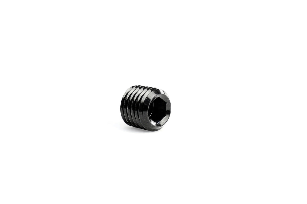 NPT Allen Plug