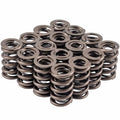 Valve Spring