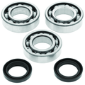 QuadBoss 94-95 Polaris 300 2x4 Oil Seal Set