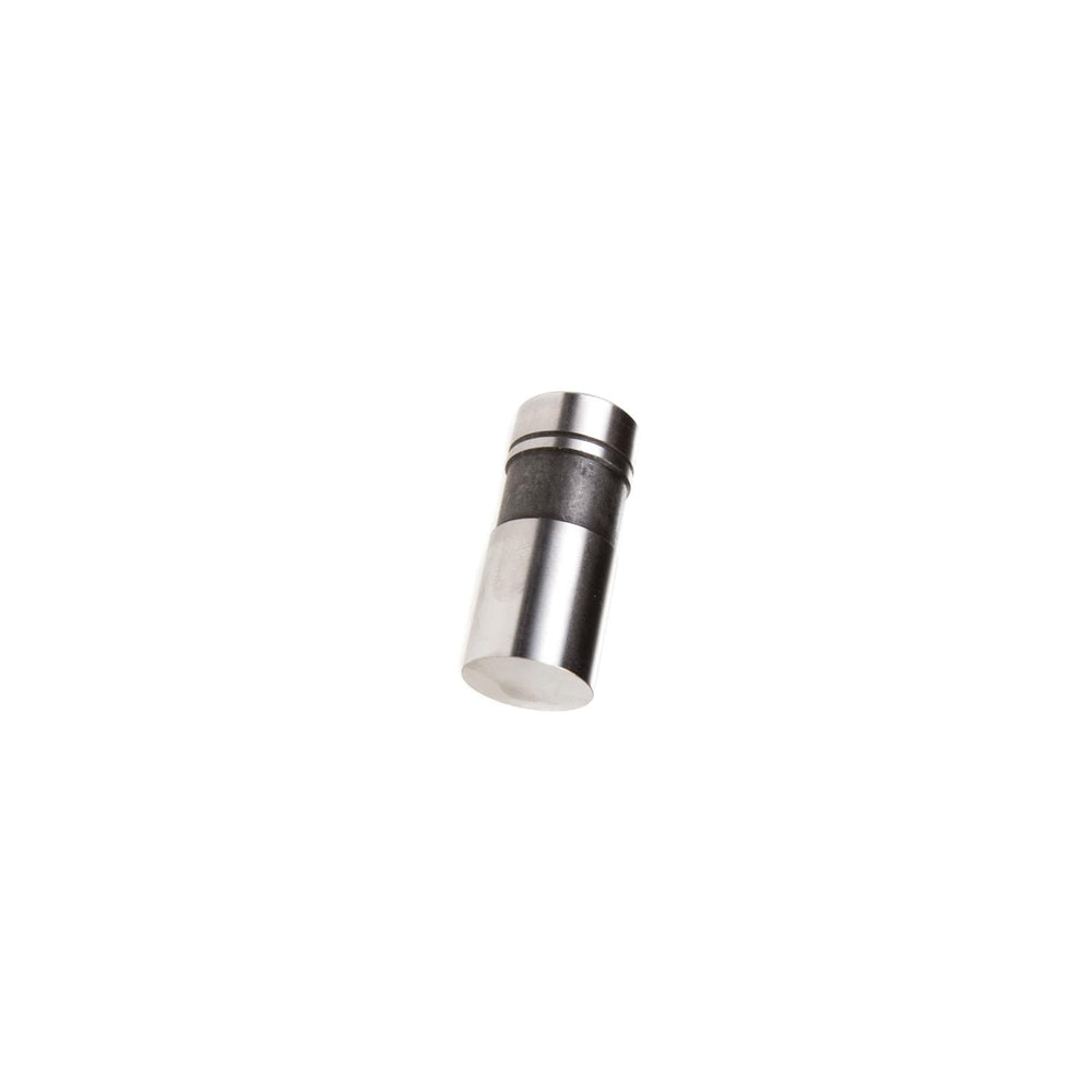 LIFTRRS ENG VALVE BULK 12