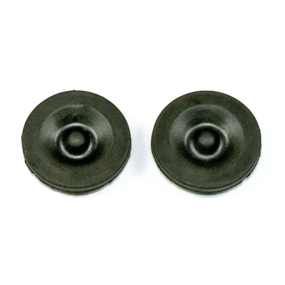 LUBE PLUG.F/1.18"CAPHOLE, 2/PK