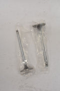 Intake Valve