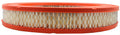 AIR FILTER - HONDA 3/CS
