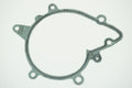 Engine Water Pump Gasket - 71-31851-00