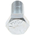 HEX CAP SCREW