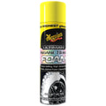 19OZ ULTIMATE INSANE SHINE FOAM