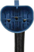 LAMP HARNESS