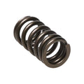 Manley SPRING-MITSUBISHI 4B11T EA