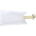 CARTER fuel pump