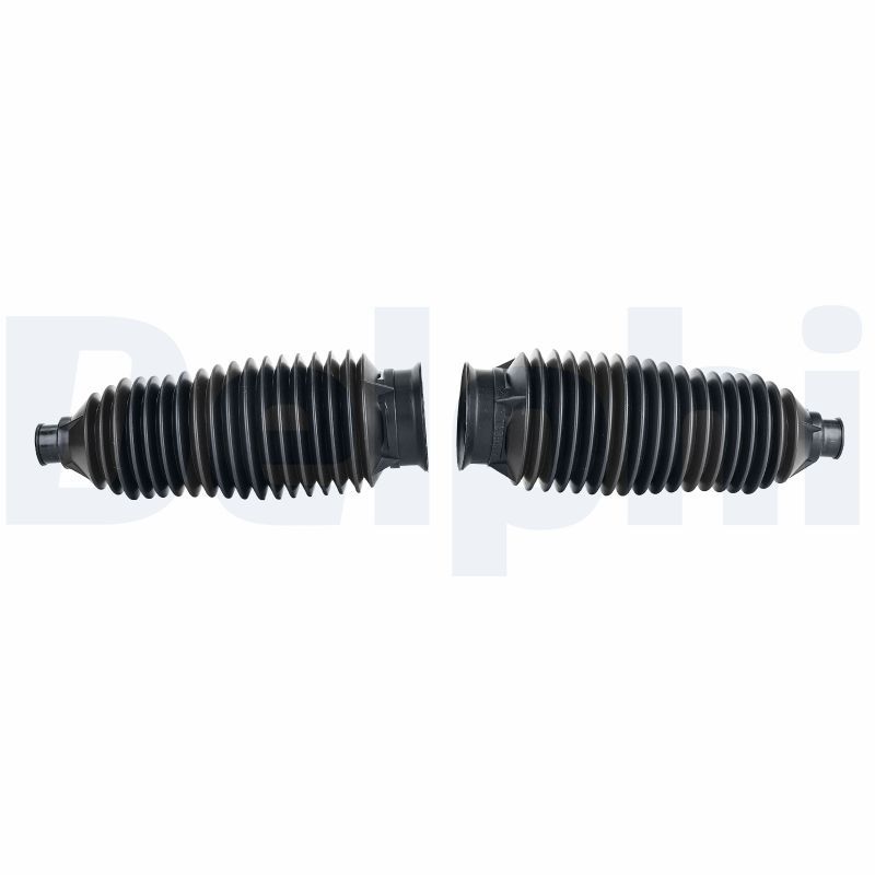DELPHI roof rack