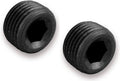 NPT Plug Allen Head 1/8 NPT (2pk)
