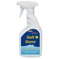 SUDBURY SALT GONE