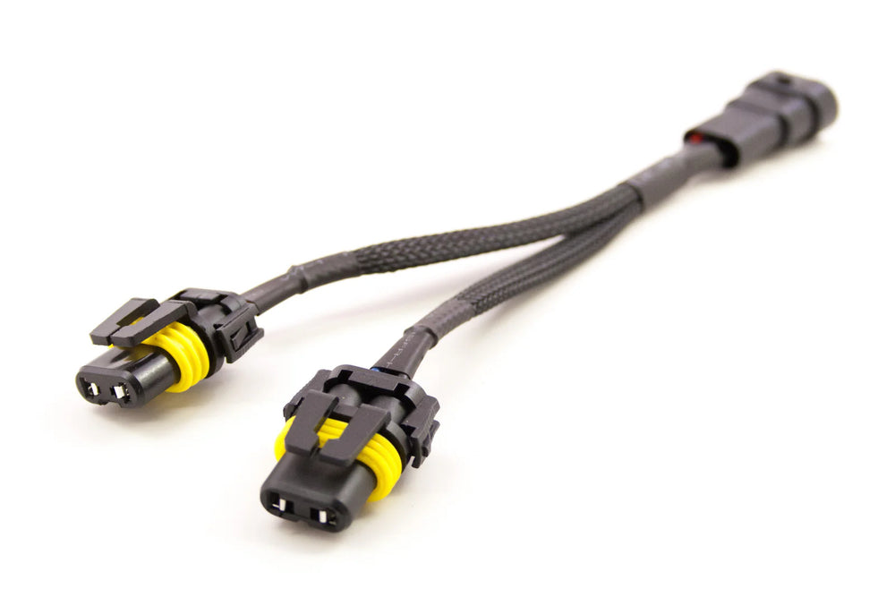 Splitter: H13 Male > H13 H1 Female