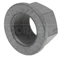 M241.5 SPINDLE NUT 32MM HEX
