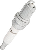 SPARK PLG DBL PLATNM BX/4