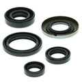 Vertex Gaskets 89-92 Polaris Big Boss 250 4x6 Oil Seal Kit