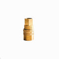 Kleinn 1/4In F NPT Quick Connect Coupler