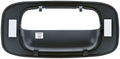 TAILGATE HANDLE BEZEL