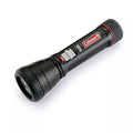 FLASHLIGHT 250M BATTERYGUARD DISPLY