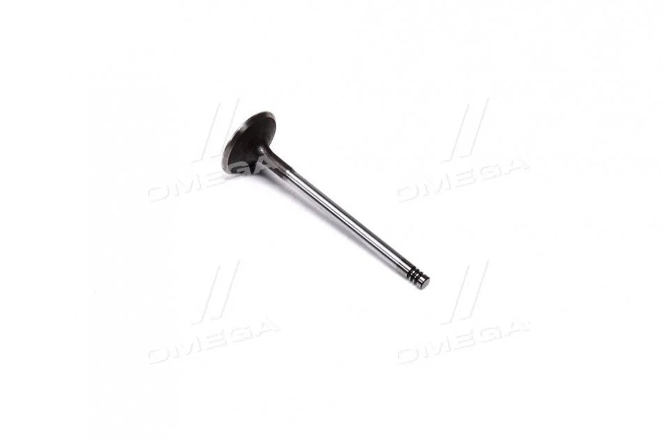 INTAKE VALVE